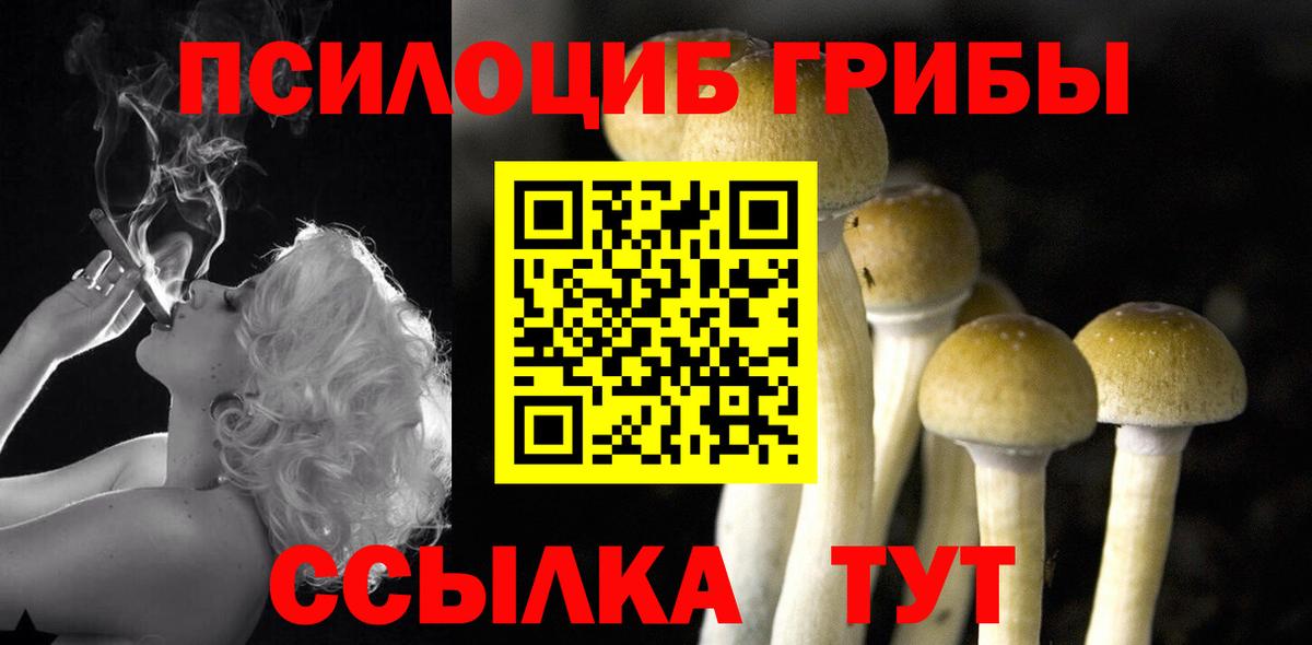 Псилоцибиновые грибы Psilocybe Нягань